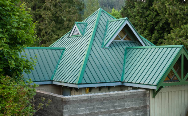 Best Green or Eco-Friendly Roofing Solutions  in Varnville, SC